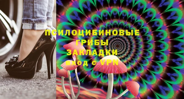 прущие грибы Белокуриха