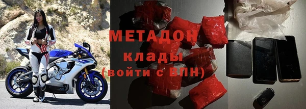 прущие грибы Белокуриха