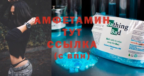 прущие грибы Белокуриха