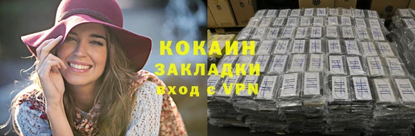 прущие грибы Белокуриха